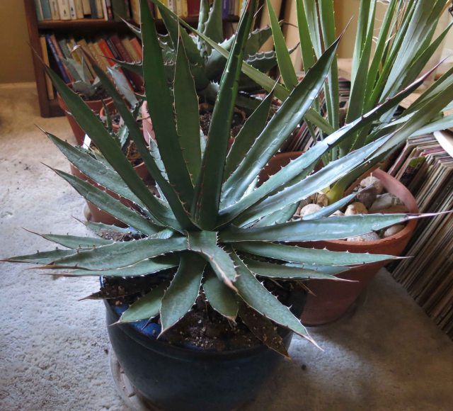 he still made a mess 