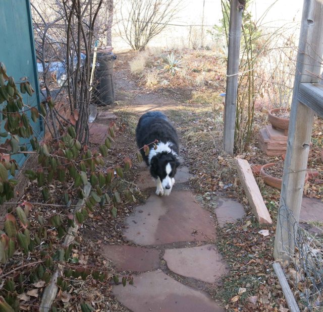 see how much it didn't rain?