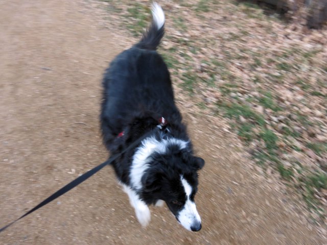 me turning around on the path