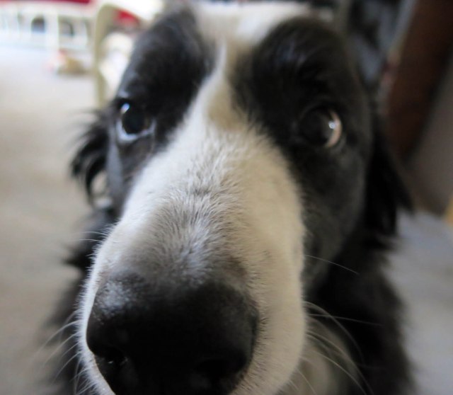 another picture of me