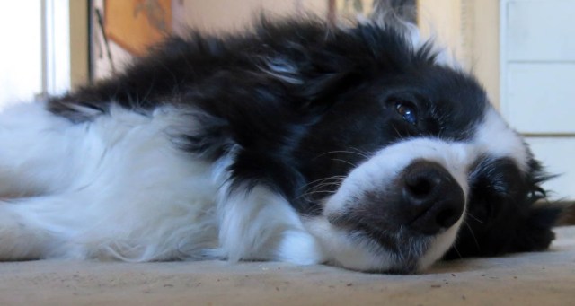 making the first resolution is the hardest thing