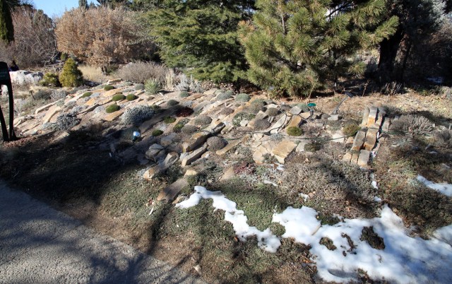 one of the new crevice gardens