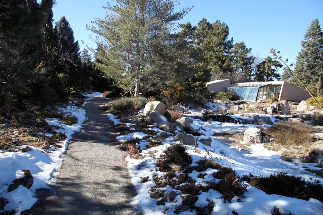 the rock alpine garden, and the alpine house