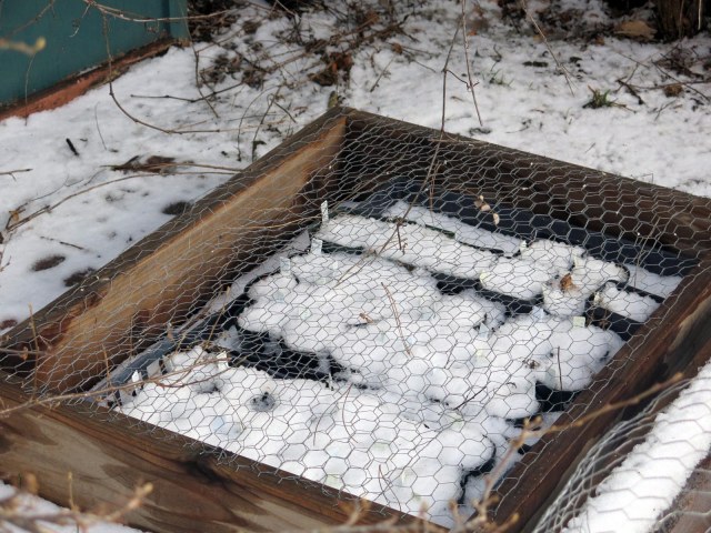 seeds here, from 2011