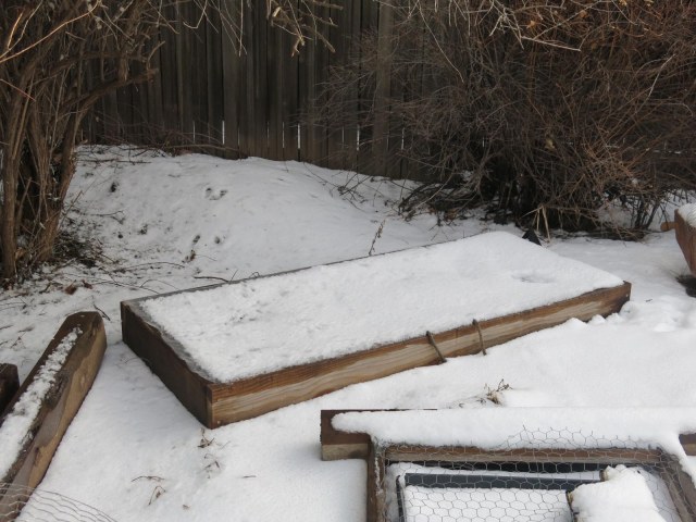 seeds here, from 2012