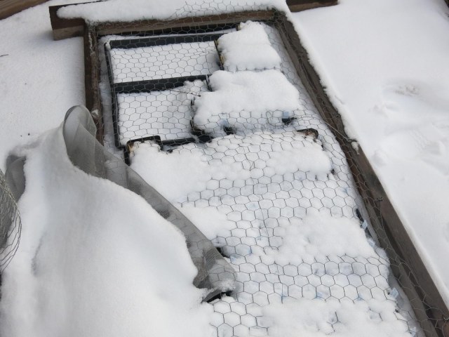 guess what's in here?