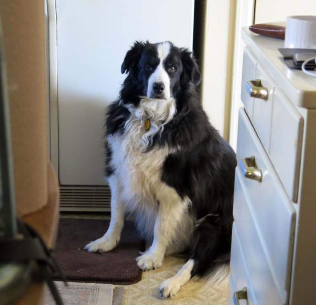 I think I saw my shadow today ....