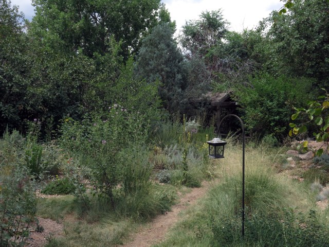 part of the raised bed, made of sand and gravel, looking northwest