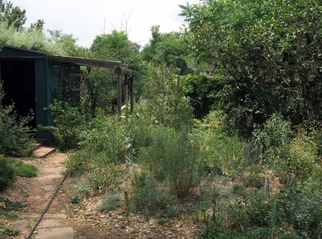 the path to the place where the picture above this was taken; you could just follow the hose, like I do. 