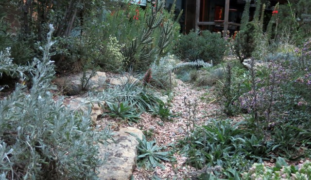 path in the rock garden