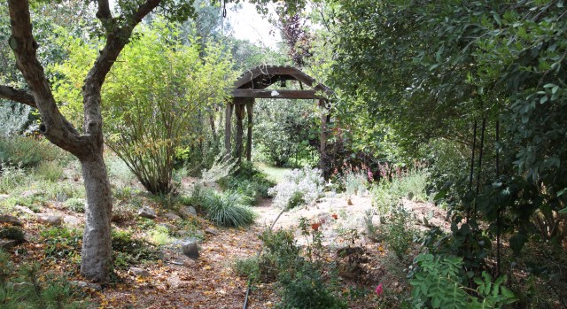 looking down the north path, to the "way back"