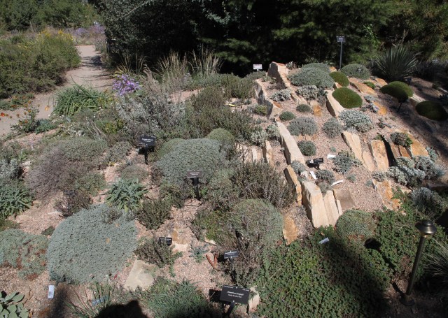 part of another crevice garden