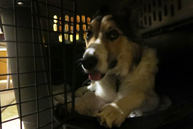 "Oh, I'm brave! I'm just careful!"