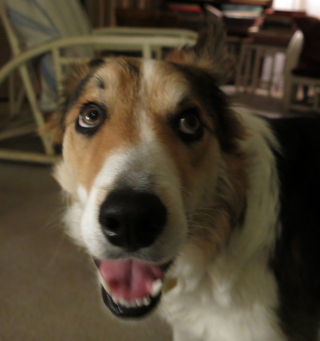 "one more, and that's the last"