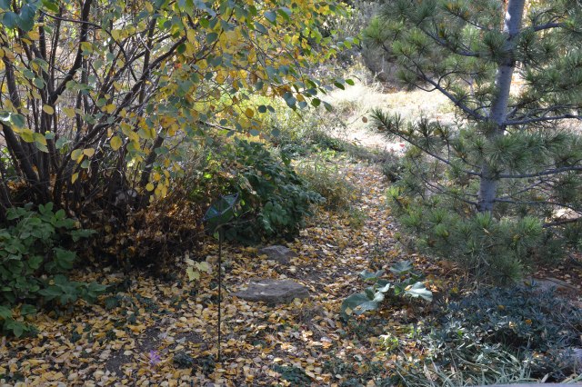 this is one of the shortcuts Slipper, a long time ago.